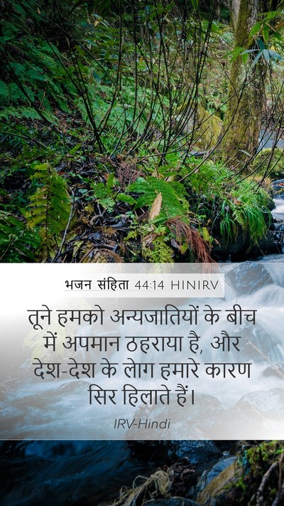 भजन संहिता 44:14 HINIRV Bible Verse Image