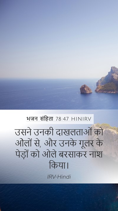 भजन संहिता 78:47 HINIRV Bible Verse Image
