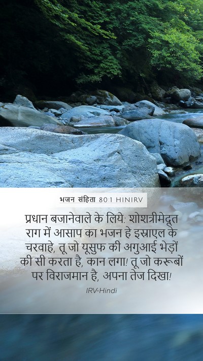 भजन संहिता 80:1 HINIRV Mobile Phone Wallpaper - प्रधान बजानेवाले - Mobile Bible Verse Wallpaper