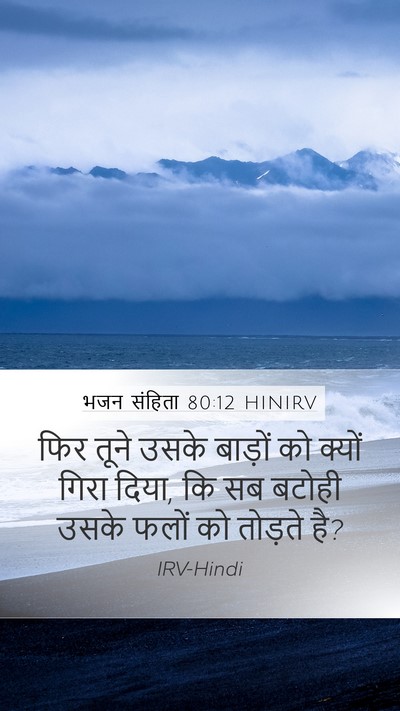भजन संहिता 80:12 HINIRV Mobile Phone Wallpaper - फिर तूने उसके - Mobile Bible Verse Wallpaper