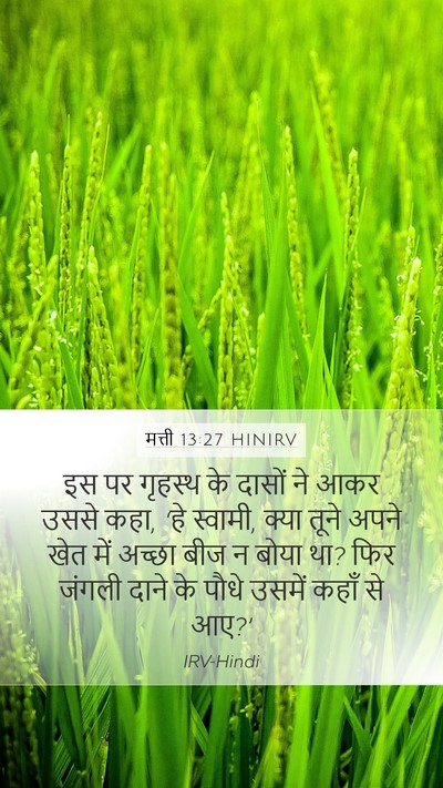 मत्ती 13:27 HINIRV Mobile Phone Wallpaper - इस पर गृहस्थ के - Mobile Bible Verse Wallpaper