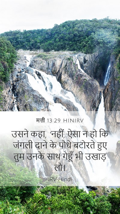 मत्ती 13:29 HINIRV Mobile Phone Wallpaper - उसने कहा, ‘नहीं, - Mobile Bible Verse Wallpaper