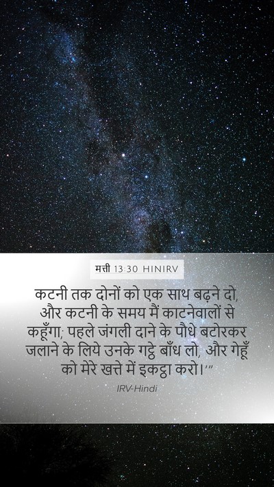 मत्ती 13:30 HINIRV Bible Verse Image