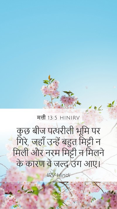 मत्ती 13:5 HINIRV Mobile Phone Wallpaper - कुछ बीज पत्थरीली - Mobile Bible Verse Wallpaper
