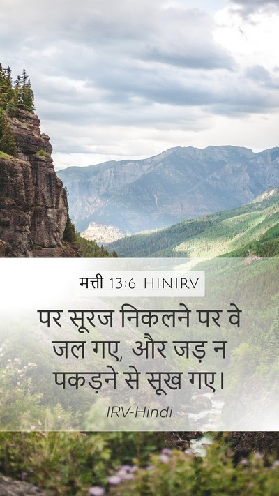 मत्ती 13:6 HINIRV Bible Verse Image