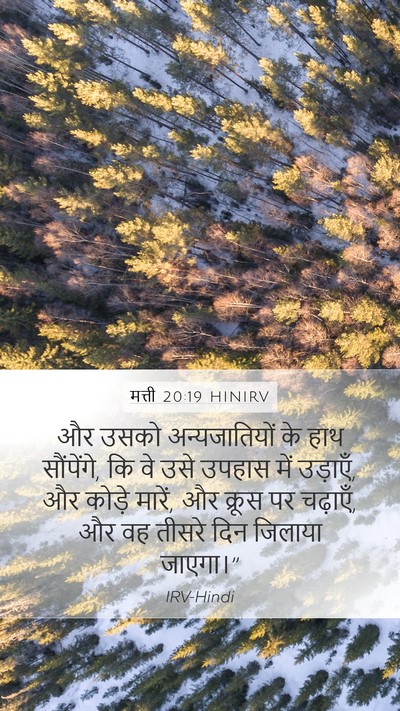 मत्ती 20:19 HINIRV Bible Verse Image