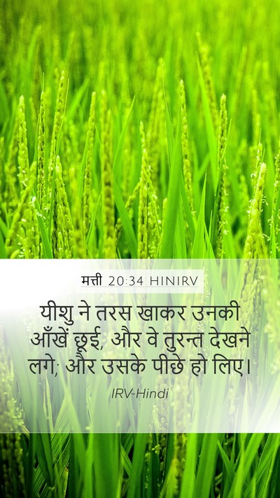 मत्ती 20:34 HINIRV Bible Verse Image