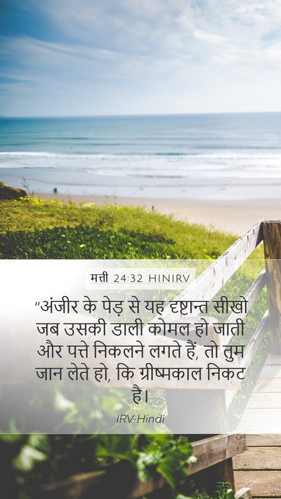 मत्ती 24:32 HINIRV Bible Verse Image