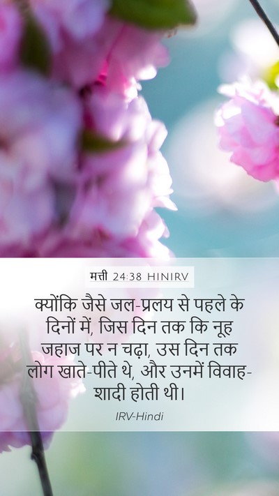 मत्ती 24:38 HINIRV Bible Verse Image