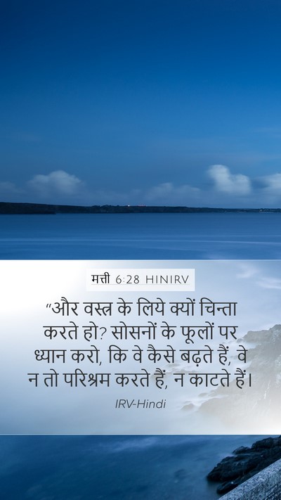 मत्ती 6:28 HINIRV Bible Verse Image