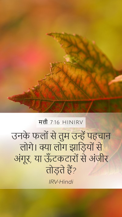 मत्ती 7:16 HINIRV Bible Verse Image