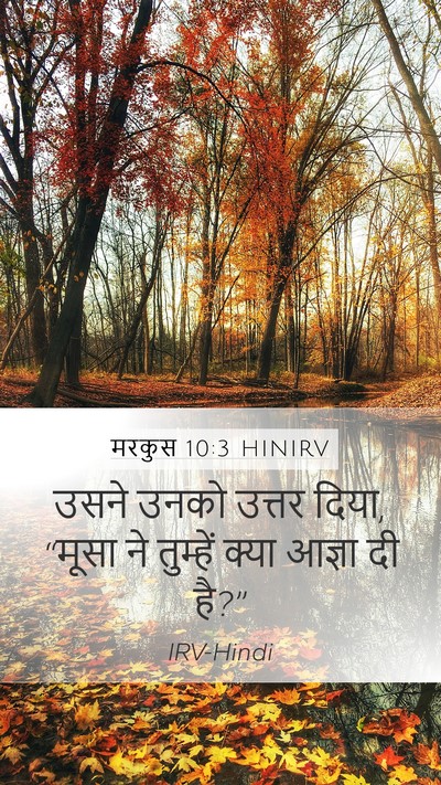 मरकुस 10:3 HINIRV Mobile Phone Wallpaper - उसने उनको उत्तर - Mobile Bible Verse Wallpaper