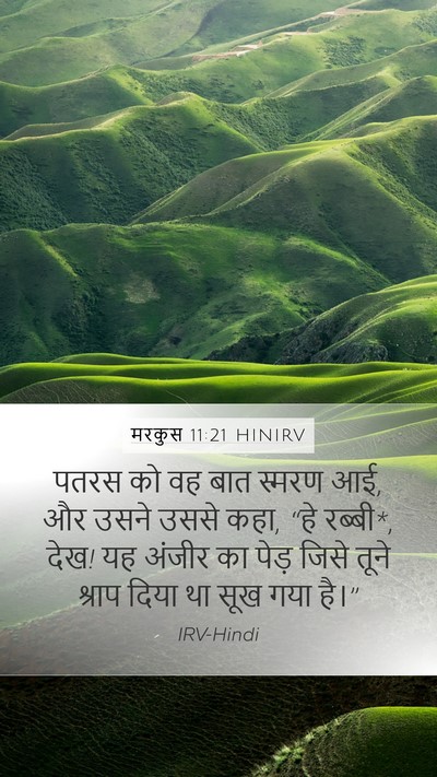 मरकुस 11:21 HINIRV Mobile Phone Wallpaper - पतरस को वह बात - Mobile Bible Verse Wallpaper