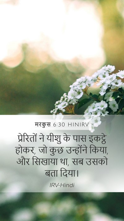 मरकुस 6:30 HINIRV Bible Verse Image