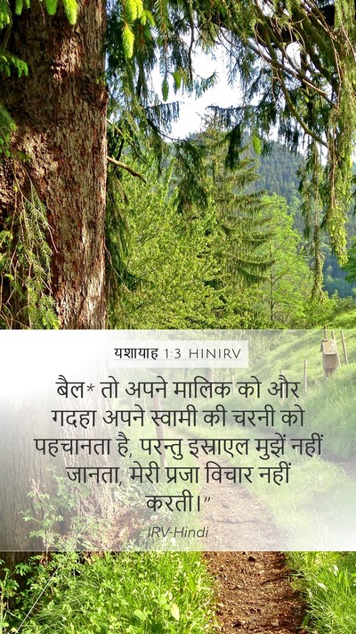 यशायाह 1:3 HINIRV Bible Verse Image