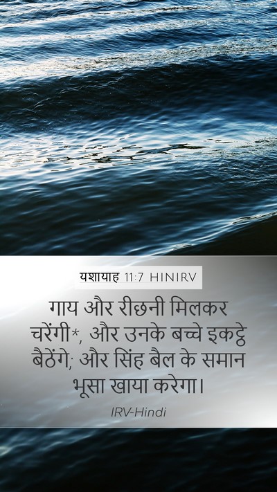 यशायाह 11:7 HINIRV Mobile Phone Wallpaper - गाय और रीछनी मिलकर - Mobile Bible Verse Wallpaper