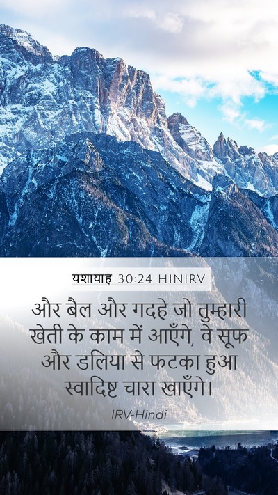 यशायाह 30:24 HINIRV Bible Verse Image