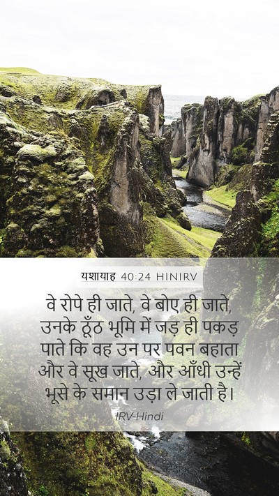 यशायाह 40:24 HINIRV Bible Verse Image