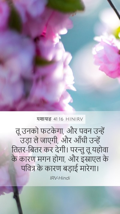 यशायाह 41:16 HINIRV Mobile Phone Wallpaper - तू उनको फटकेगा, और - Mobile Bible Verse Wallpaper
