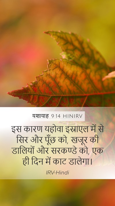 यशायाह 9:14 HINIRV Bible Verse Image