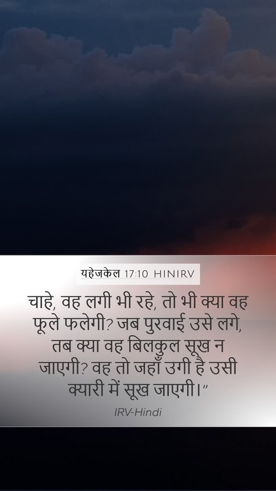 यहेजकेल 17:10 HINIRV Bible Verse Image