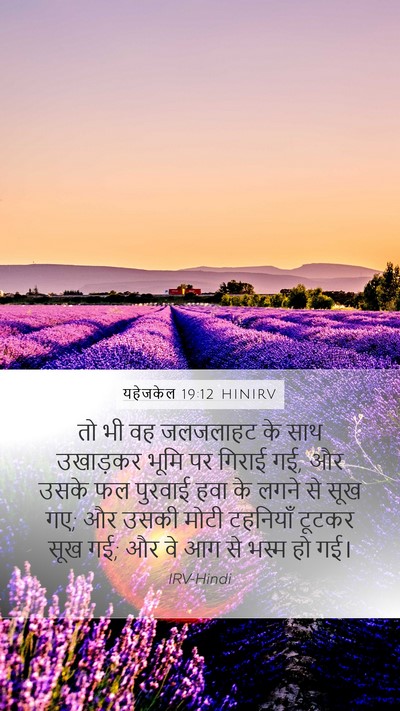 यहेजकेल 19:12 HINIRV Bible Verse Image