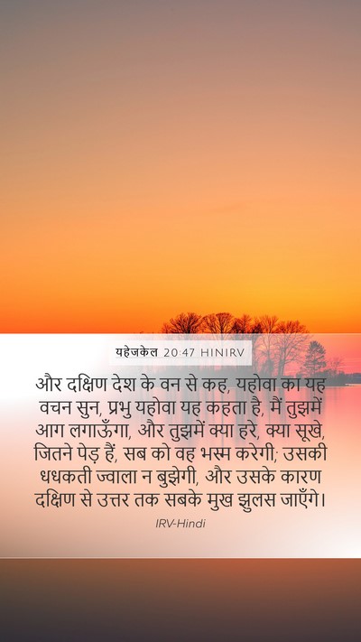यहेजकेल 20:47 HINIRV Bible Verse Image