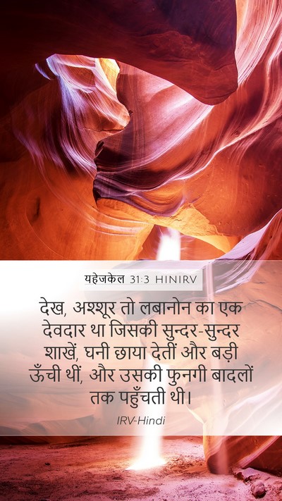 यहेजकेल 31:3 HINIRV Bible Verse Image