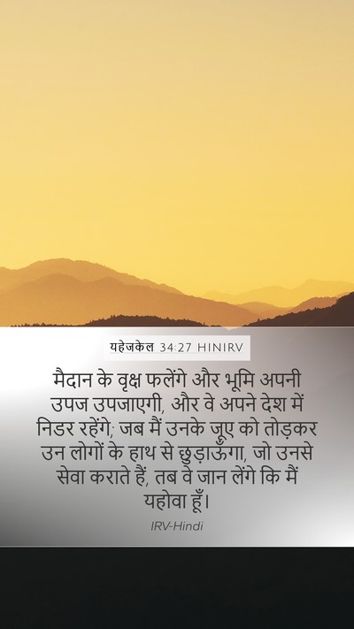 यहेजकेल 34:27 HINIRV Bible Verse Image