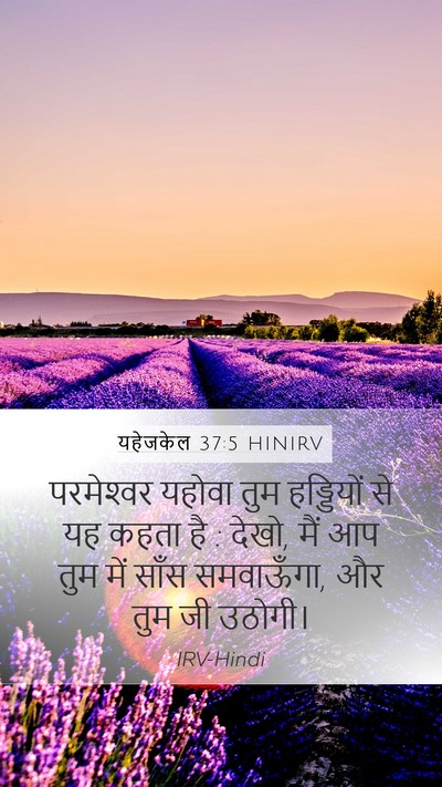 यहेजकेल 37:5 HINIRV Bible Verse Image