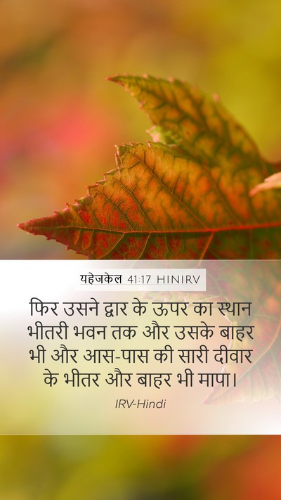 यहेजकेल 41:17 HINIRV Bible Verse Image