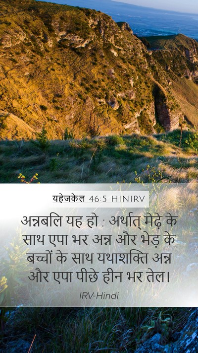 यहेजकेल 46:5 HINIRV Bible Verse Image