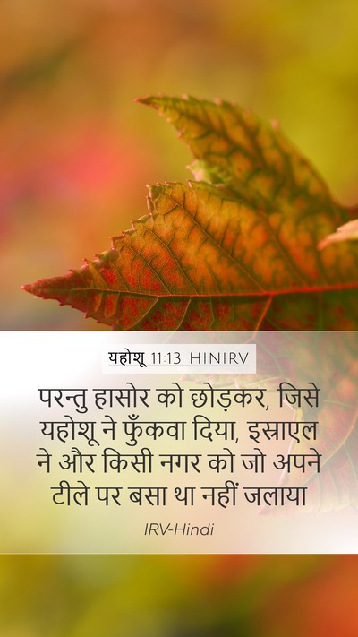 यहोशू 11:13 HINIRV Bible Verse Image