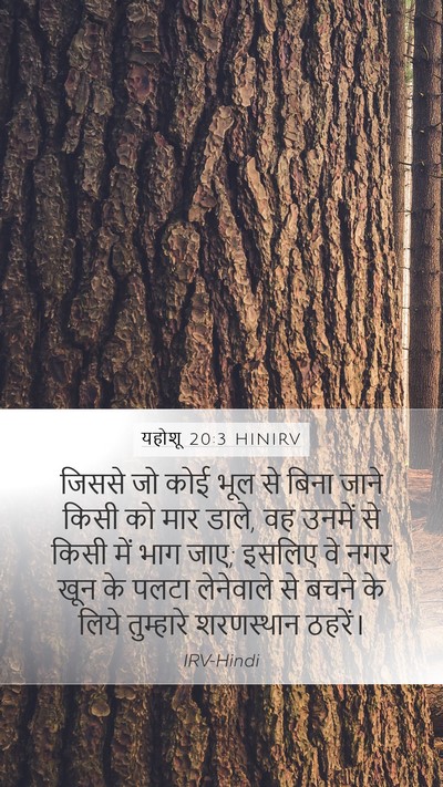 यहोशू 20:3 HINIRV Bible Verse Image