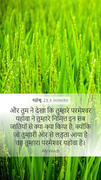 यहोशू 23:3 HINIRV Mobile Phone Wallpaper - और तुम ने देखा कि - Mobile Bible Verse Wallpaper