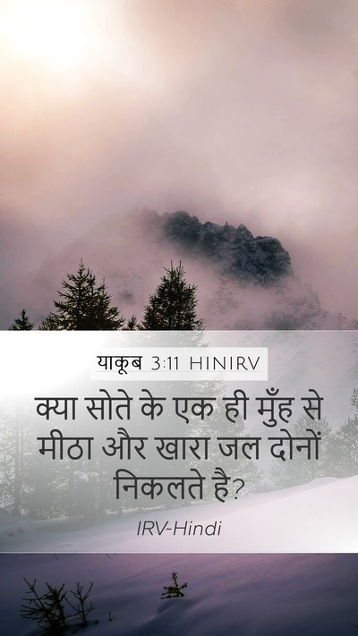 याकूब 3:11 HINIRV Mobile Phone Wallpaper - क्या सोते के एक ही - Mobile Bible Verse Wallpaper
