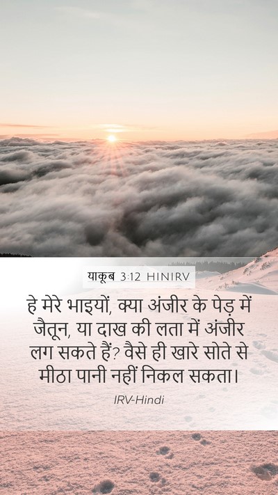 याकूब 3:12 HINIRV Bible Verse Image