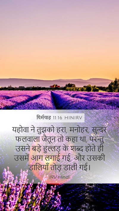 यिर्मयाह 11:16 HINIRV Bible Verse Image