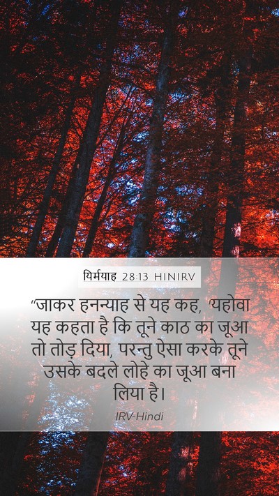 यिर्मयाह 28:13 HINIRV Bible Verse Image