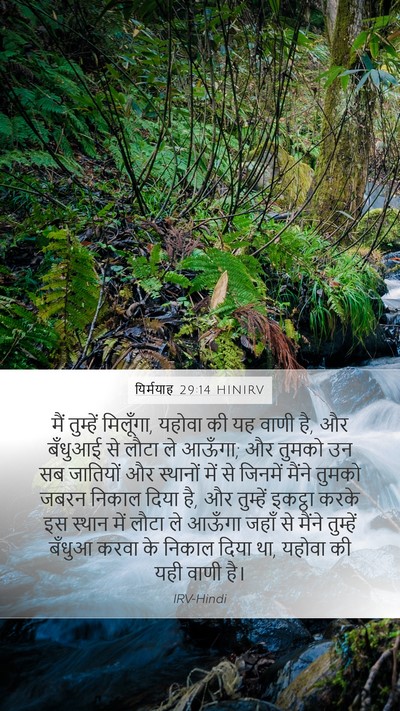 यिर्मयाह 29:14 HINIRV Bible Verse Image