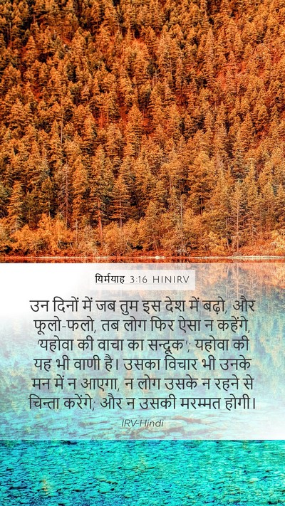 यिर्मयाह 3:16 HINIRV Bible Verse Image