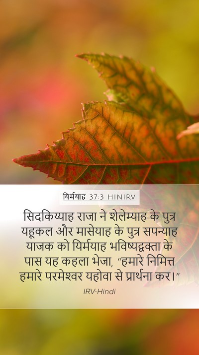 यिर्मयाह 37:3 HINIRV Bible Verse Image