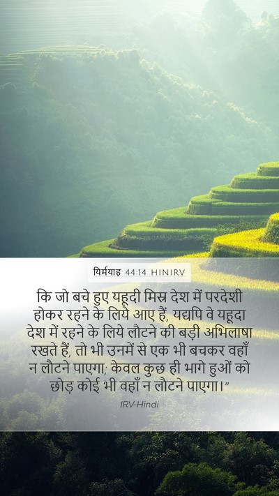 यिर्मयाह 44:14 HINIRV Bible Verse Image