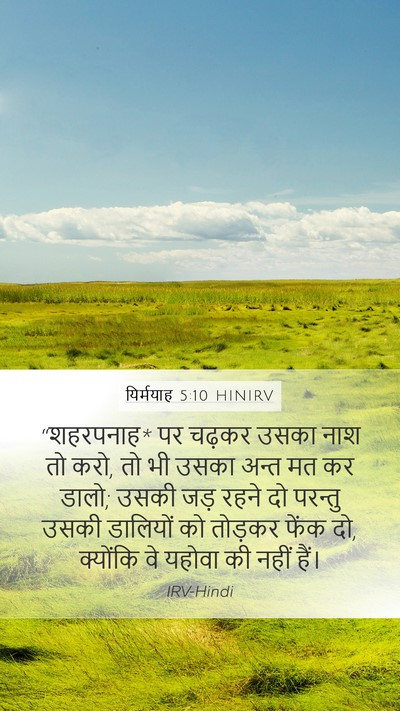 यिर्मयाह 5:10 HINIRV Bible Verse Image