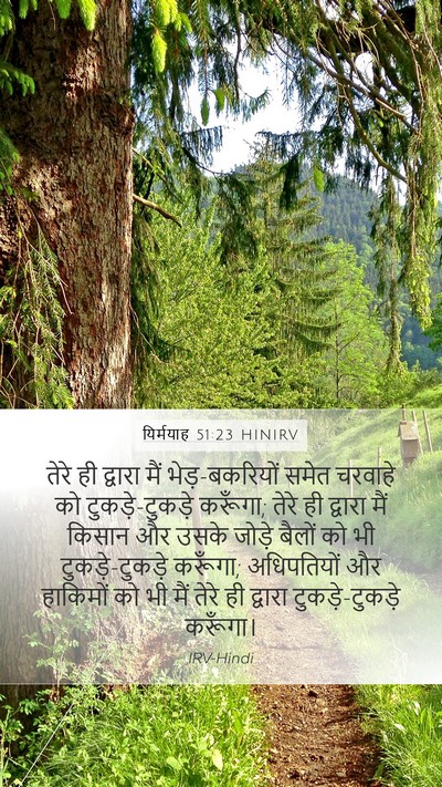 यिर्मयाह 51:23 HINIRV Mobile Phone Wallpaper - तेरे ही द्वारा मैं - Mobile Bible Verse Wallpaper