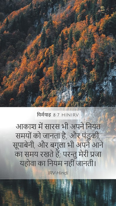 यिर्मयाह 8:7 HINIRV Bible Verse Image