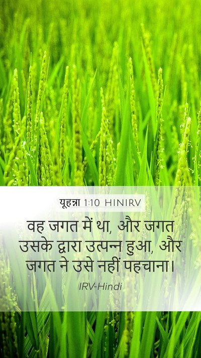 यूहन्ना 1:10 HINIRV Bible Verse Image