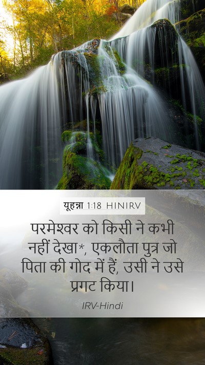 यूहन्ना 1:18 HINIRV Bible Verse Image