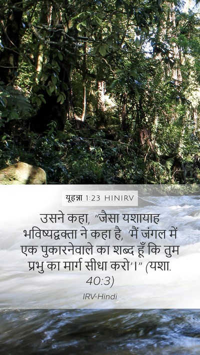 यूहन्ना 1:23 HINIRV Bible Verse Image