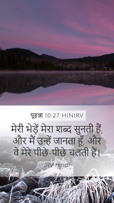 यूहन्ना 10:27 HINIRV Bible Verse Image